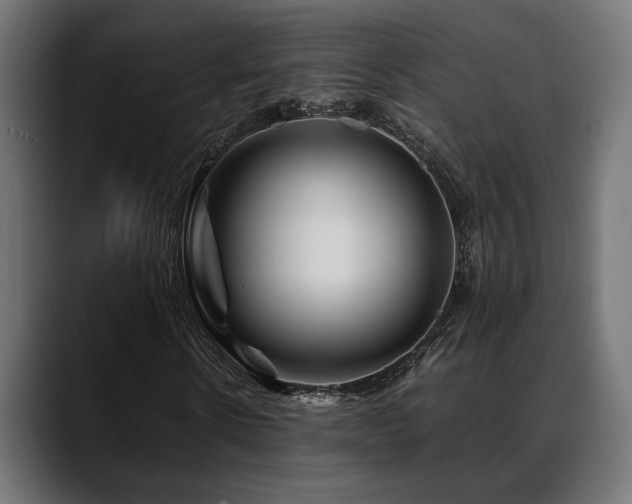 X0000088620914200705251238