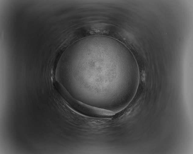 X0000088620915200705251238