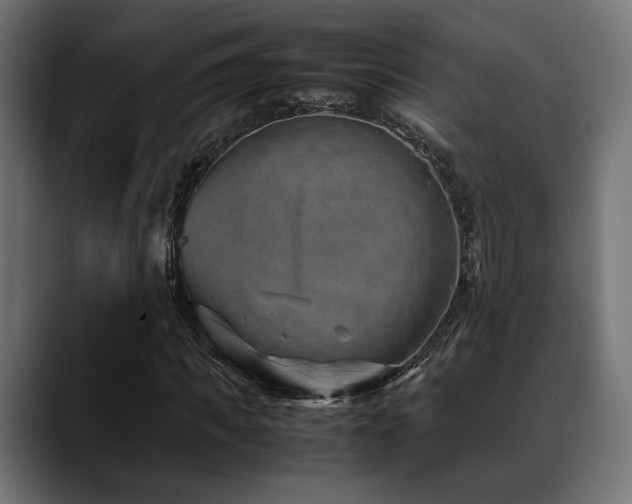 X0000088620917200705251238