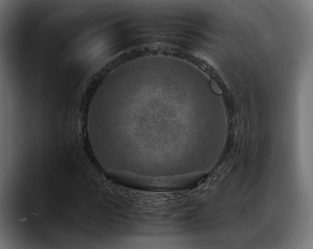 X0000088620919200705251238