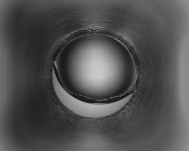 X0000088620920200705251238