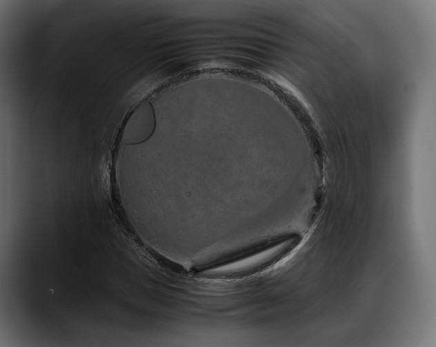 X0000088620921200705251238
