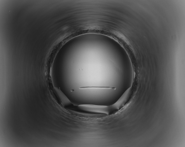 X0000088620922200705251238