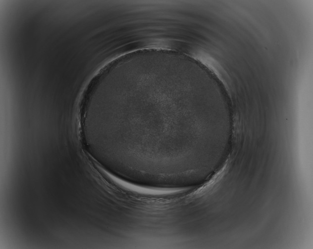X0000088620923200705251238