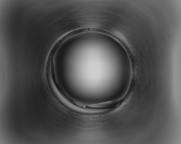 X0000088620924200705251238