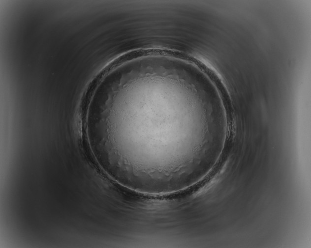 X0000088620925200705251238