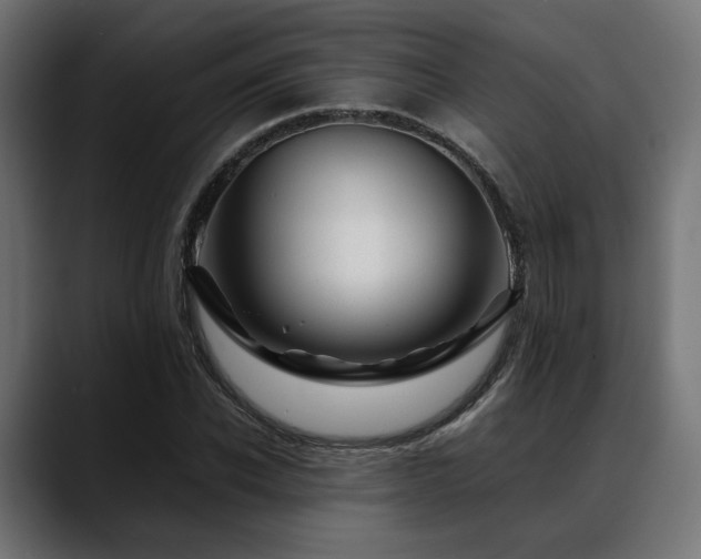 X0000088620926200705251238