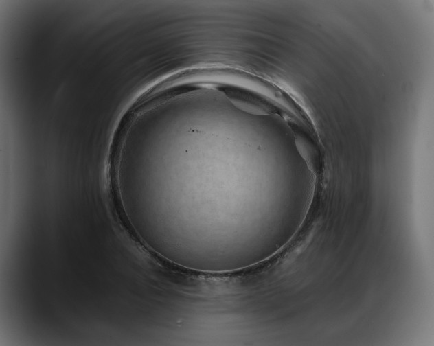 X0000088620928200705251238