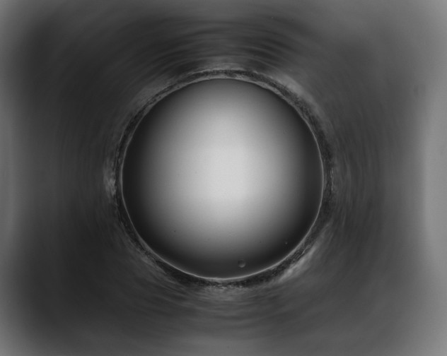 X0000088620929200705251238