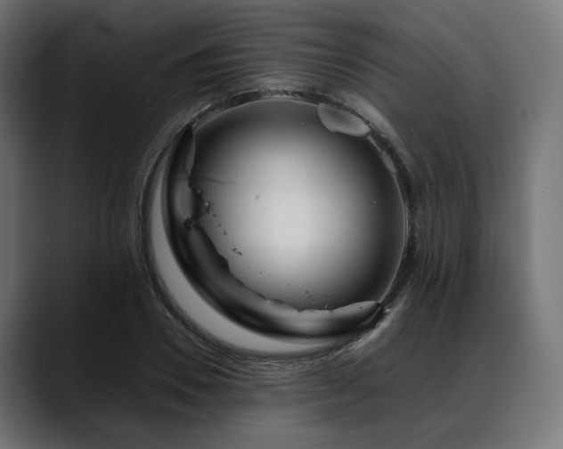 X0000088620930200705251238