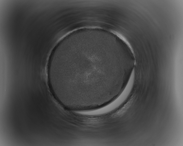 X0000088620935200705251238