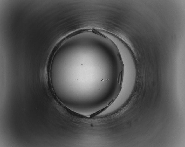X0000088620936200705251238