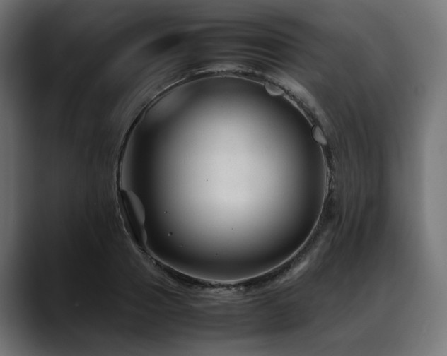 X0000088620937200705251238