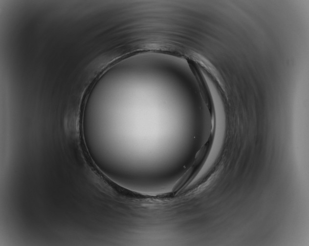 X0000088620938200705251238