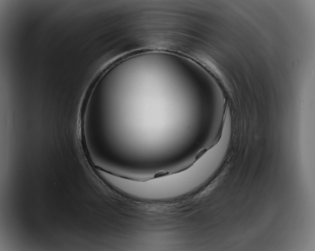 X0000088620940200705251238