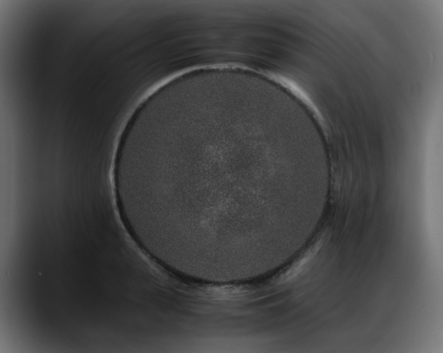 X0000088620943200705251238