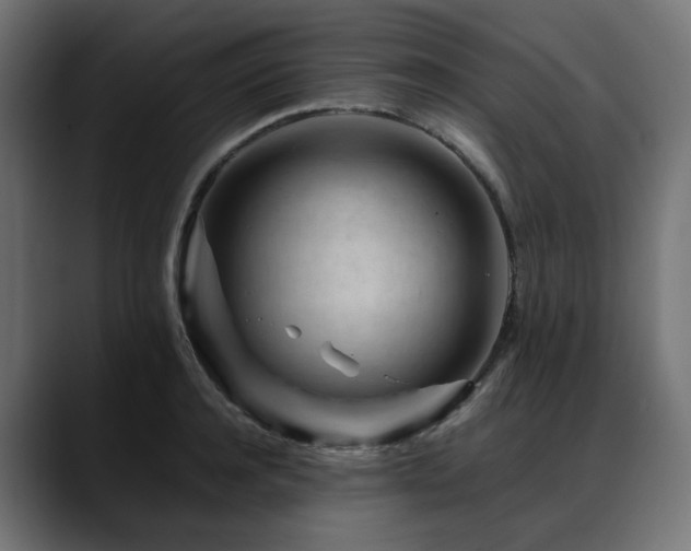 X0000088620944200705251238