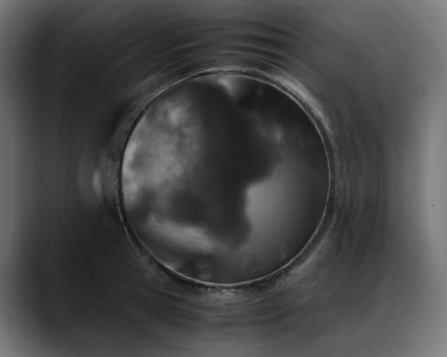 X0000088620945200705251238