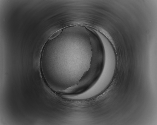 X0000088620946200705251238