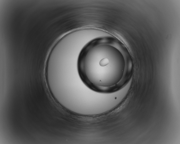 X0000088620948200705251238