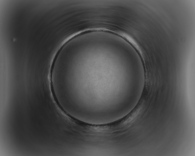 X0000088620951200705251238