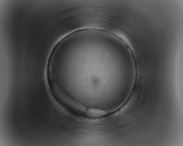 X0000088620952200705251238