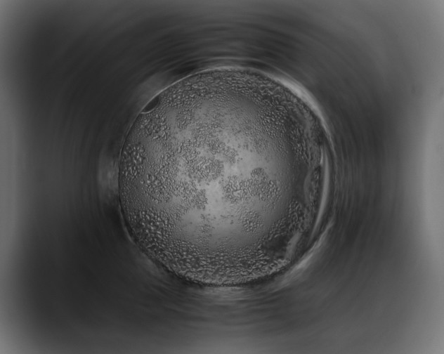 X0000088620953200705251238