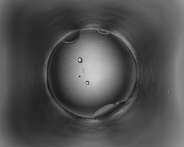 X0000088620957200705251238