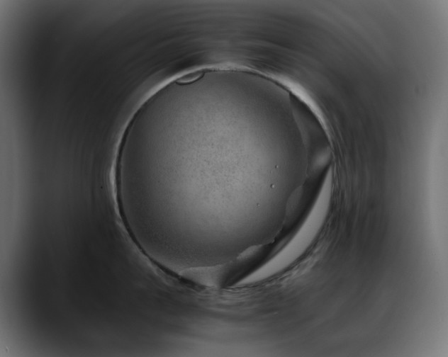 X0000088620959200705251238
