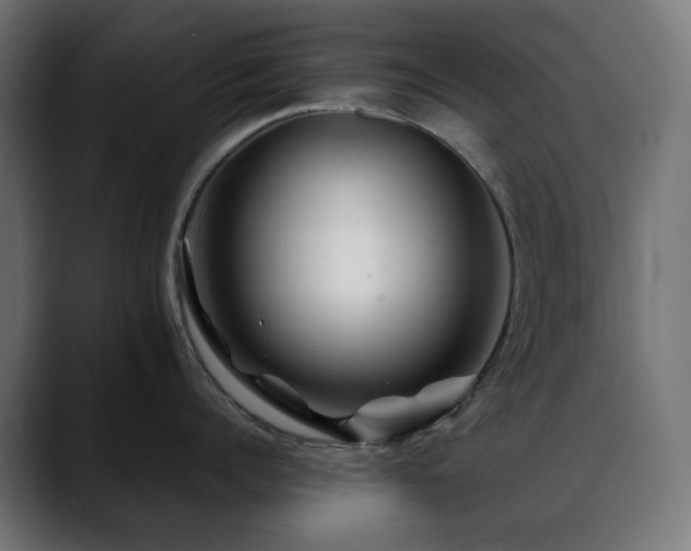 X0000088620960200705251238