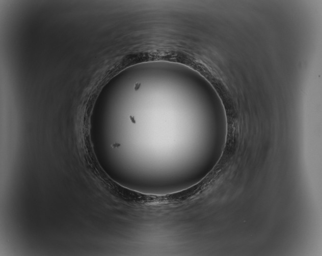 X0000088620961200705251238