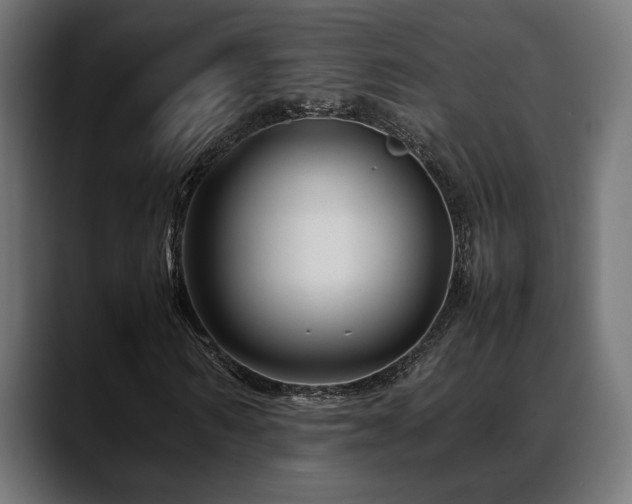 X0000088620962200705251238