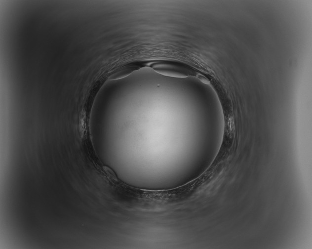 X0000088620963200705251238