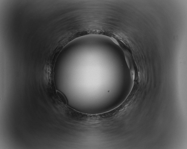 X0000088620964200705251238