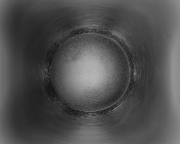 X0000088620966200705251238