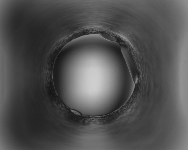 X0000088620967200705251238