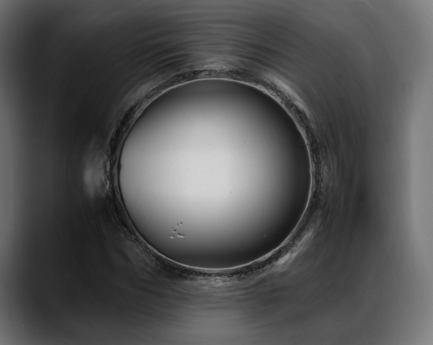 X0000088620970200705251238