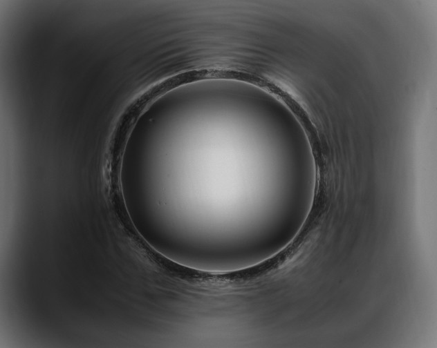 X0000088620971200705251238