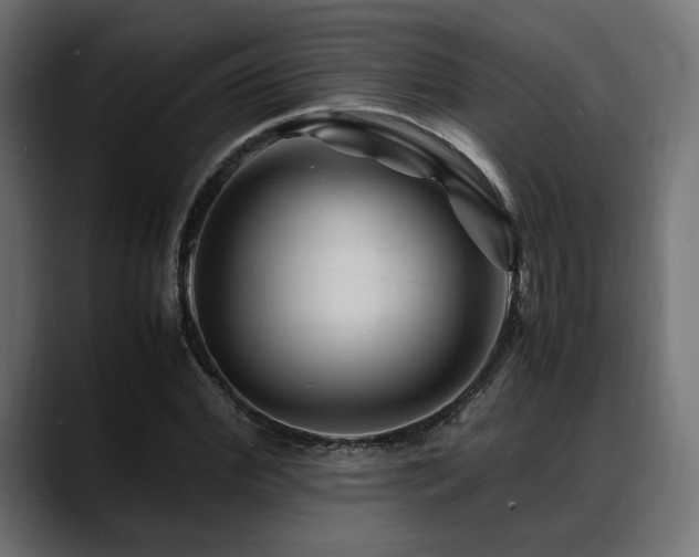 X0000088620972200705251238