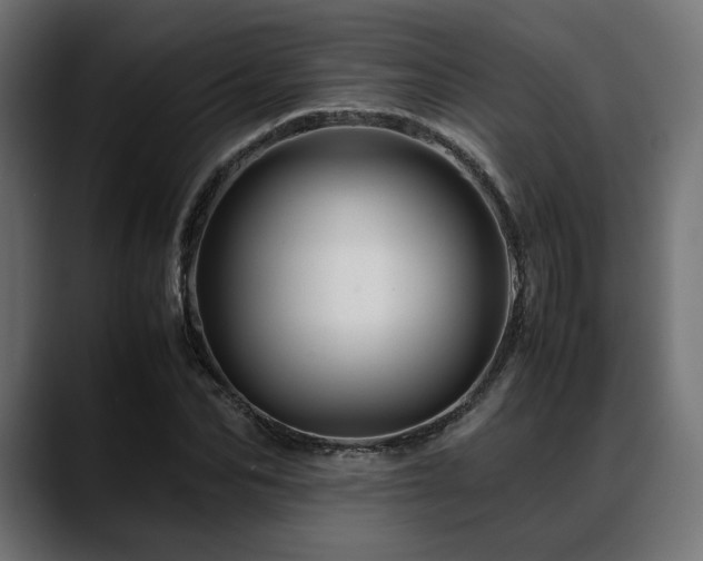 X0000088620974200705251238