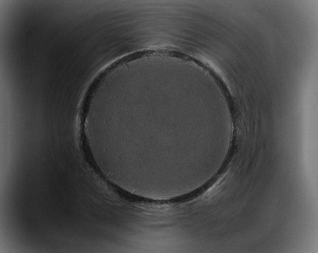 X0000088620975200705251238