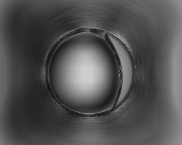 X0000088620976200705251238