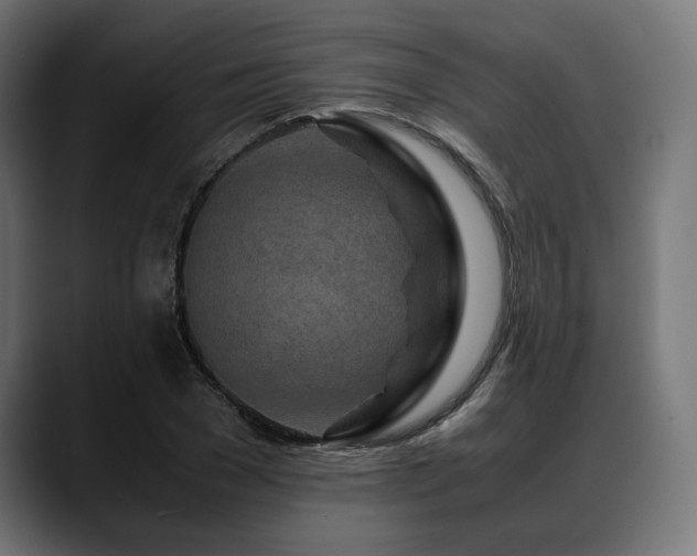X0000088620977200705251238