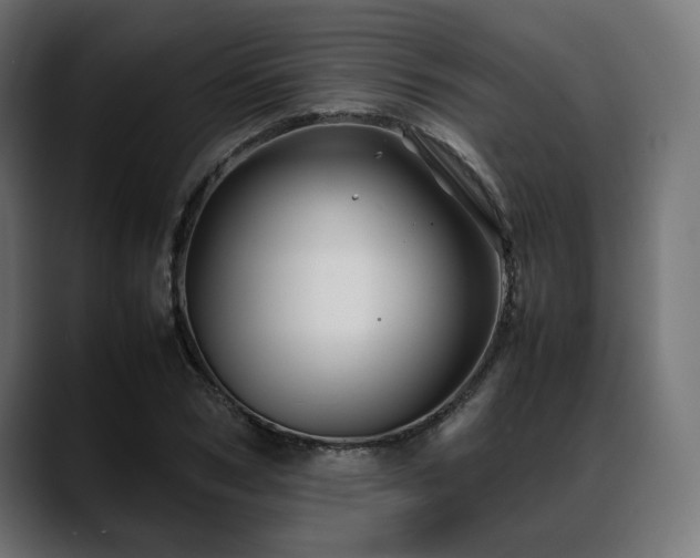 X0000088620978200705251238