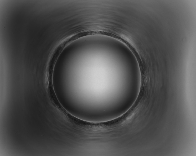 X0000088620979200705251238