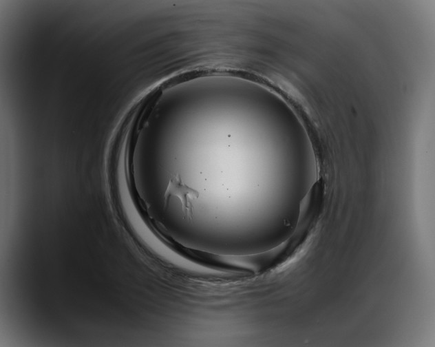 X0000088620981200705251238