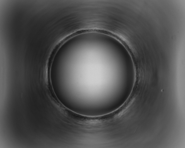 X0000088620982200705251238
