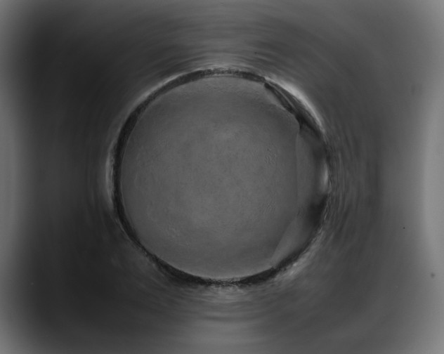 X0000088620983200705251238
