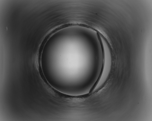 X0000088620984200705251238