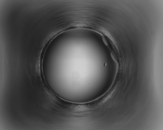 X0000088620986200705251238